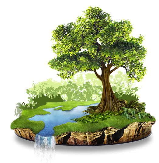 The Caribbean World: Eco Green: Restoration & Conservation The Caribbean World: Eco Green: Restoration & Conservation